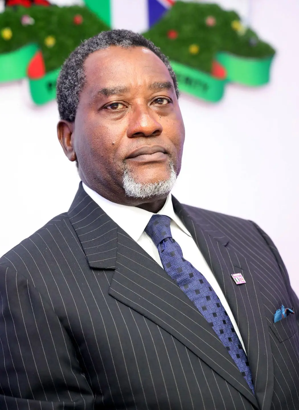 Portrait of Abimbola Olashore